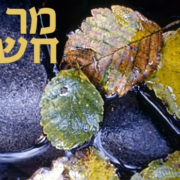 Хешван — зміцнюємо єдність